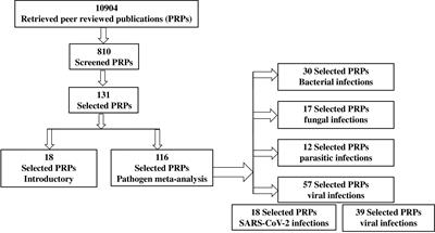 Carbohydrates Metabolic Signatures in Immune Cells: Response to Infection